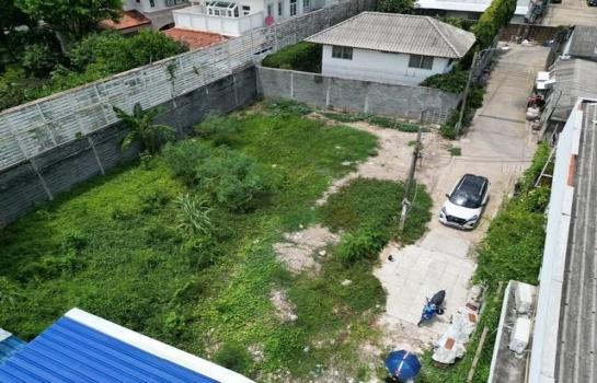 ที่ดิน lotus ที่ดิน lotus