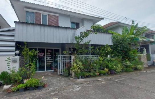 ��觤�� �� sopa