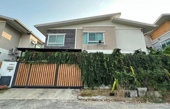 ��ҹ������ �� naorinpl