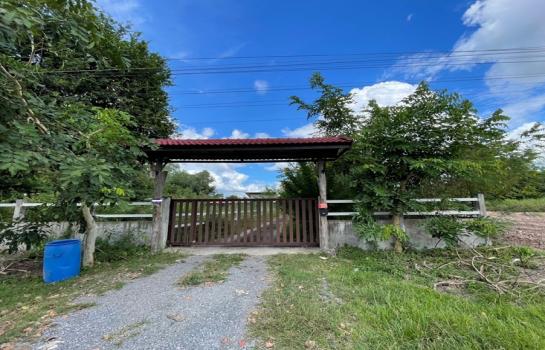 ��º�ҹ 3,000,000 �ҷ