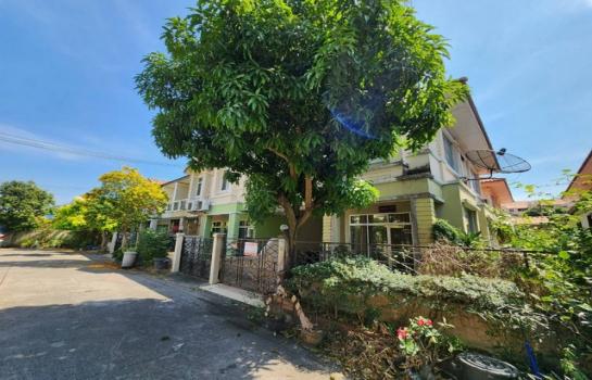 ��ͧ����� �� �����¹��� ���˹����ѧ�������Ѿ��