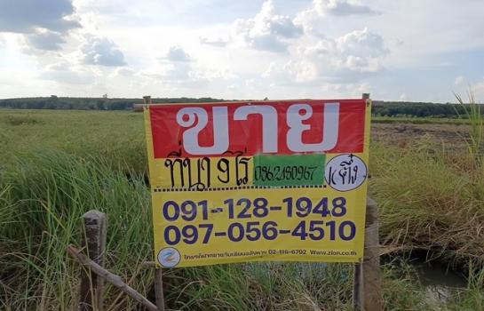 ������ �� zionasset1