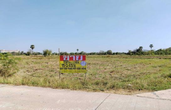 ������ �� zionasset1