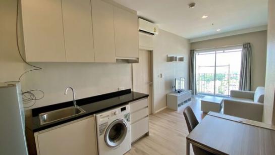 �͹� �������Ҥ��