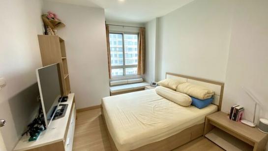 �͹� �������Ҥ��