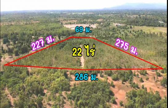 ที่ดิน lotus ที่ดิน lotus