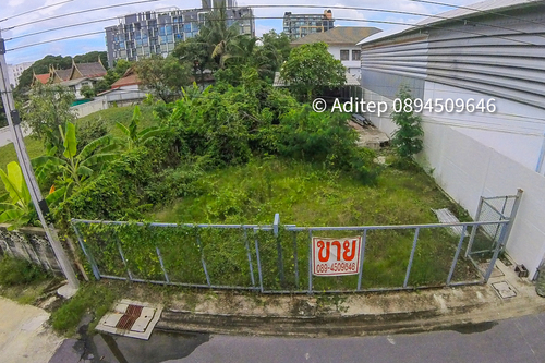 ที่ดิน lotus ที่ดิน lotus