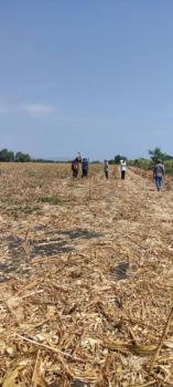 ����Ҫ���� �� Jyn Property