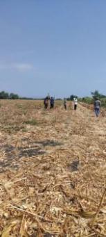 ��·��Թ �Ҥһ�С�Ȣ�� 800,000 �ҷ