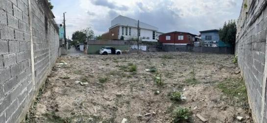 ที่ดิน lotus ที่ดิน lotus