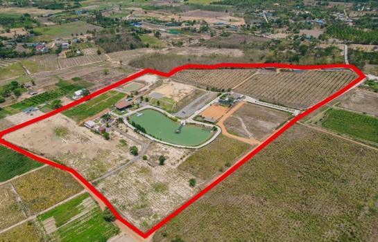 ��� �� domepost66