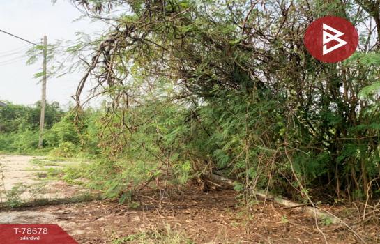 ��û�� �� The Best Property Agent