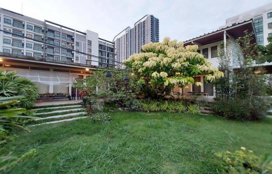 ��طû�ҡ�� �� asangha PL