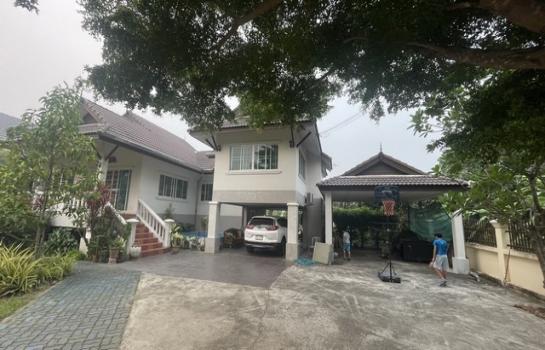 ������� �� natanong78