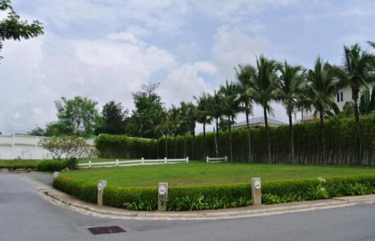 ที่ดิน pattaya ที่ดิน pattaya