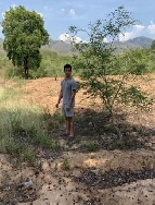 ��� ��������ҷ��Թ �ҤҢ�� 1,500,000 �ҷ ������ 1,500,000 �ҷ/��͹