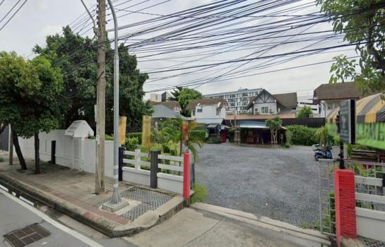 ���Թ�ҧ�� �� HarrisonTH