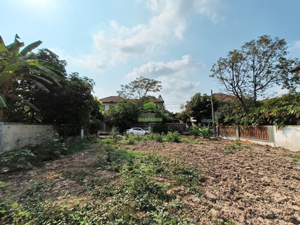 ที่ดิน lotus ที่ดิน lotus