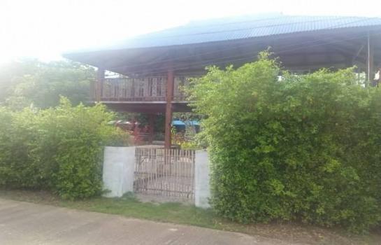 ������ �� northern1