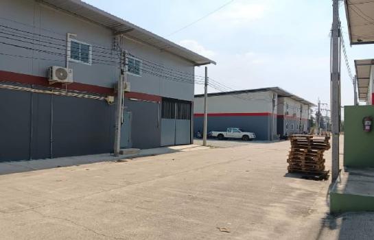 �ź��� �� Pattaya dot Property