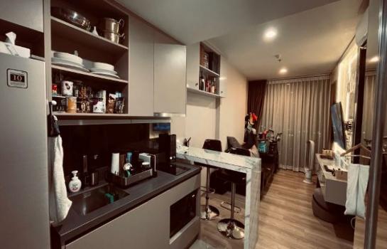 �͹ⴤ�ͧ�� �� ���പ