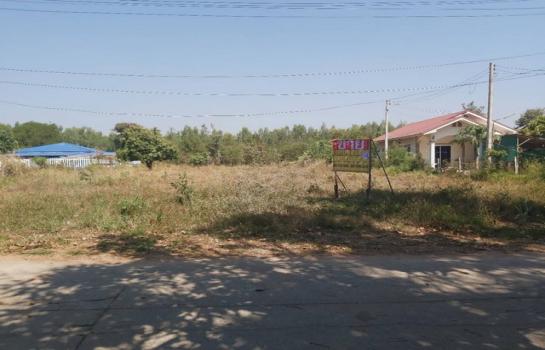 ������ �� zionasset1