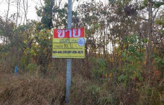 ˹ͧ��� �� zionasset1