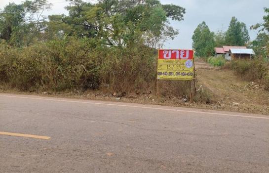 ˹ͧ��� �� zionasset1