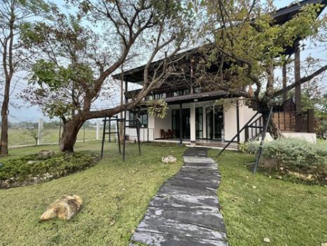 ��ҹ�ѹ��ҵͧ ��§����