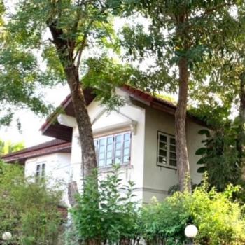 ��ҹ 120 ���ҧ��