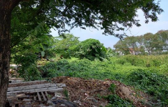 ���⢹� �� zionasset1