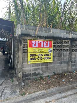 �ҧ�л� �� zionasset1