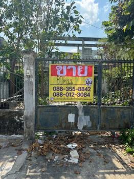 �ҧ�л� �� zionasset1