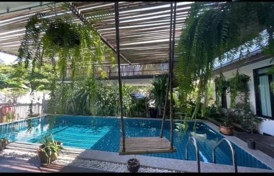 �ҧ�� �� northern1