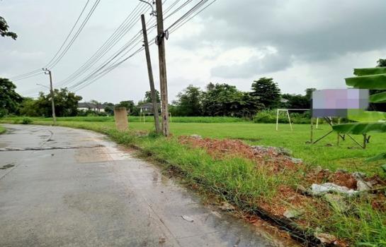 ����ç�ҹ ˹ͧ�͡