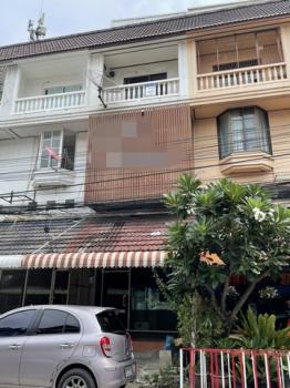 ����� �� panaya.opalopal