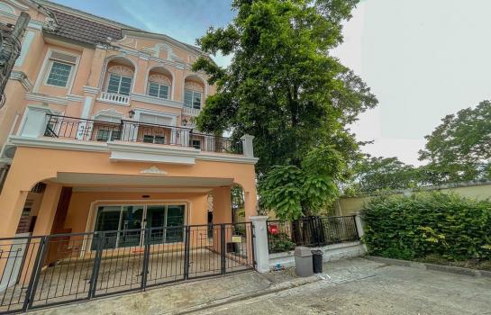 ��ا෾ �� AssetD4U