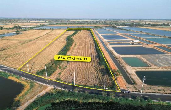 ที่ดิน lotus ที่ดิน lotus