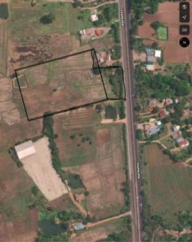 �����ѡ �� sopa