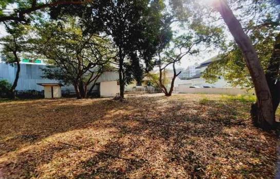 ที่ดิน pattaya ที่ดิน pattaya