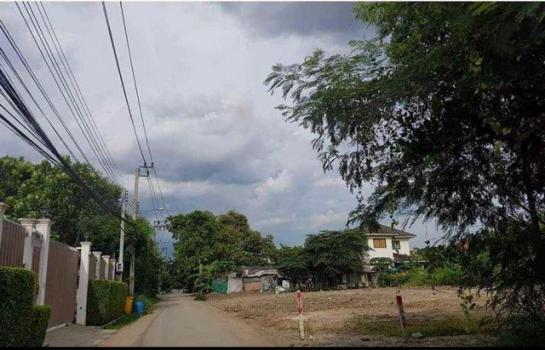 �Ҵ����� �� zionasset1