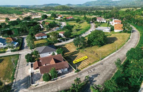 ที่ดิน lotus ที่ดิน lotus