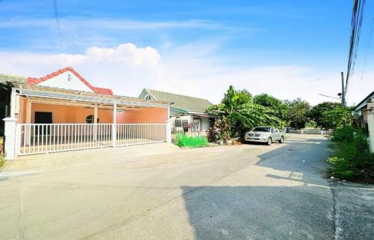 ��ҹ�� �� 100webfed