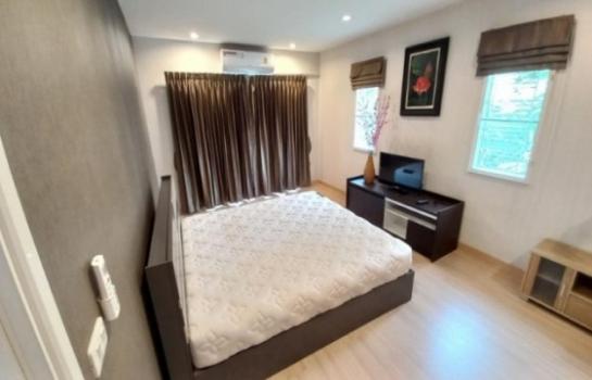 ��ҹ���������ú �оҹ�٧