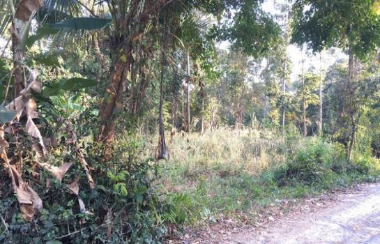 �����ʸ� �� room168sub