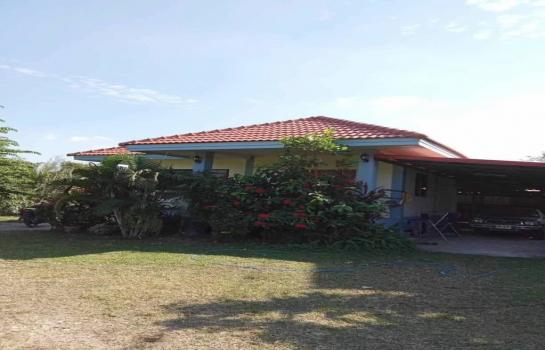 ��ҹ�ѹ��ҵͧ ��§����