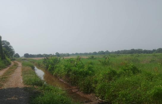 ˹ͧ���� �� Estate Corner