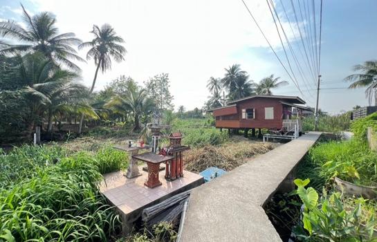 ที่ดิน lotus ที่ดิน lotus