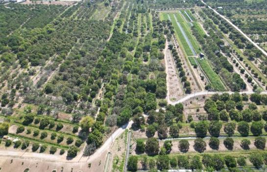 �Ӿٹ �� Sawasdee