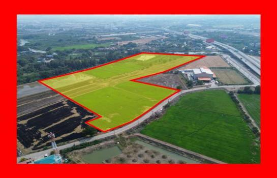 ��¹������ �� The Vinvestor